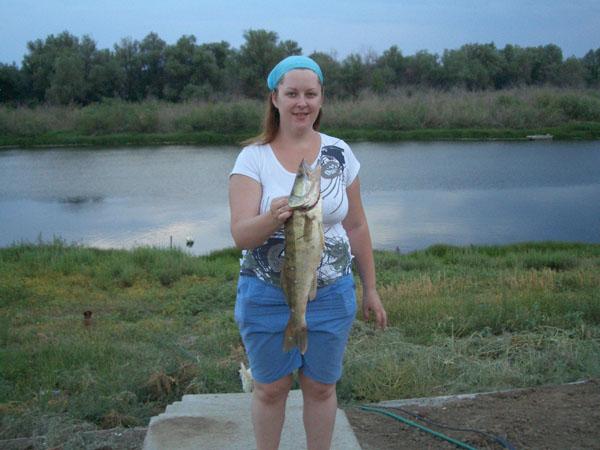 Рыбалка на Ахтубе фото 62 Рыбалка на Ахтубе фото 62